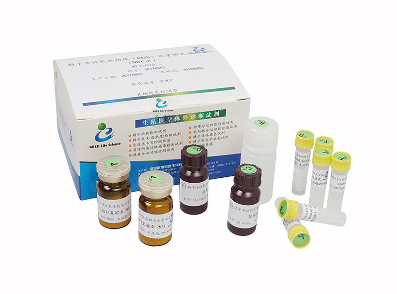 Male Infertility Test Sperm Maturity Kit / ROS Assay Kit / Reactive