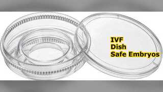 IVF Dish for Embryo Culture