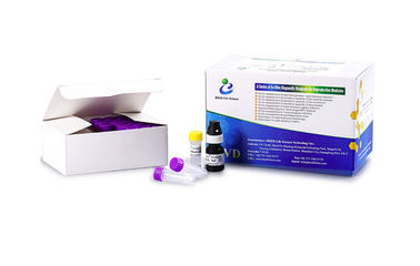 Simple Operate Men'S Fertility Test Kit Semen Leukocytes Test Kit Peroxidase Staining