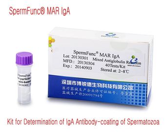 Male Immunologic Infertility Diagnostic Kit
