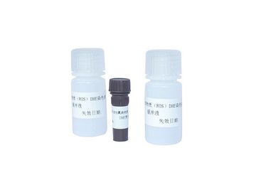 Flow Cytometer Seminal Reactive Oxygen Species DHE Staining Kit