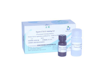 Protamine Deficiency Test 99% Accuracy Sperm CMA3 Staining Kit