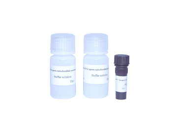 Sperm Mitochondria Staining Kit High Accuracy Male Fertility Test Kit